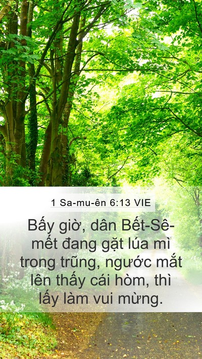 1 Sa-mu-ên 6:13 VIE Mobile Phone Wallpaper - Bấy giờ, dân Bết-Sê-mết đang gặt - Mobile Bible Verse Wallpaper