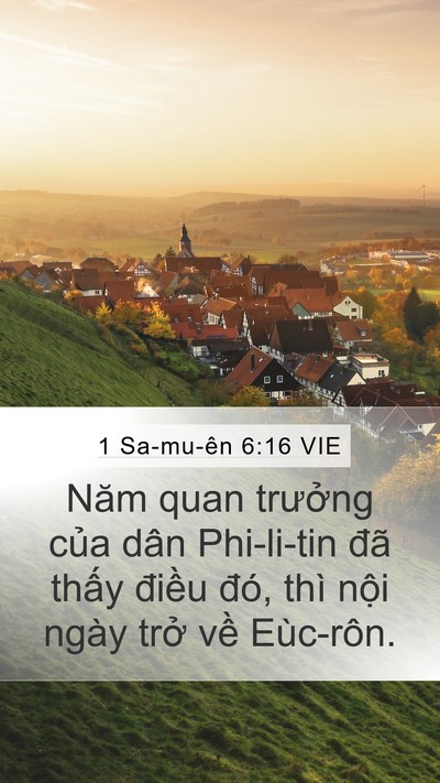 1 Sa-mu-ên 6:16 VIE Bible Verse Image