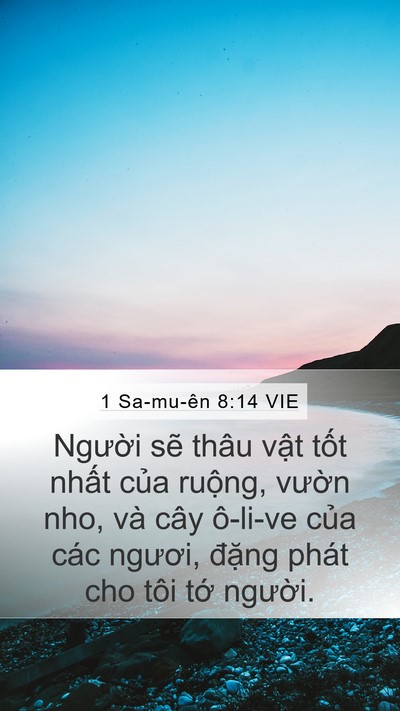 1 Sa-mu-ên 8:14 VIE Bible Verse Image