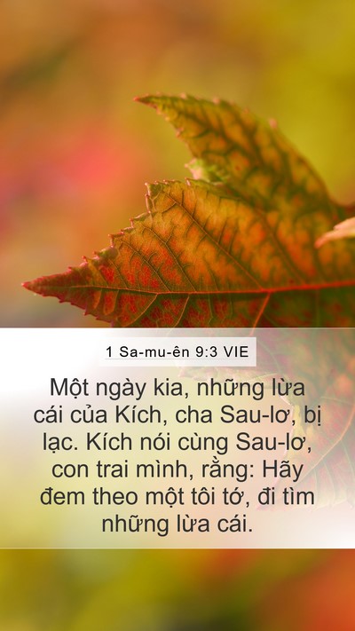 1 Sa-mu-ên 9:3 VIE Bible Verse Image