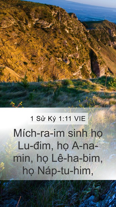 1 Sử Ký 1:11 VIE Bible Verse Image