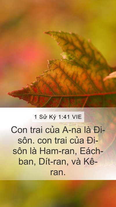 1 Sử Ký 1:41 VIE Bible Verse Image