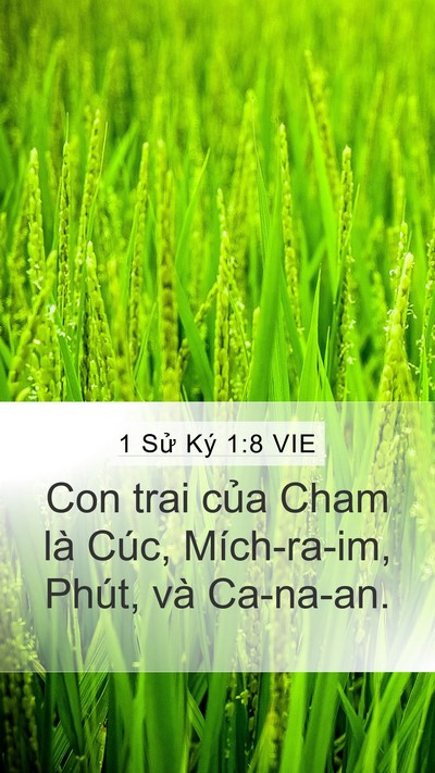 1 Sử Ký 1:8 VIE Bible Verse Image