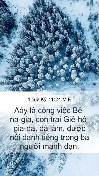 1 Sử Ký 11:24 VIE Bible Verse Image