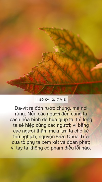 1 Sử Ký 12:17 VIE Bible Verse Image