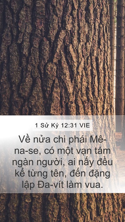 1 Sử Ký 12:31 VIE Bible Verse Image