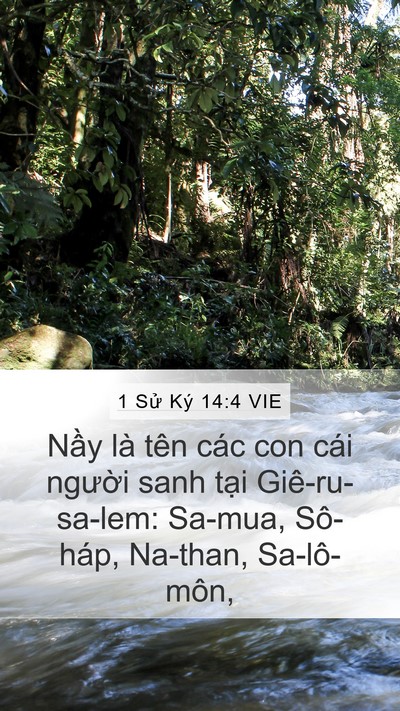 1 Sử Ký 14:4 VIE Bible Verse Image