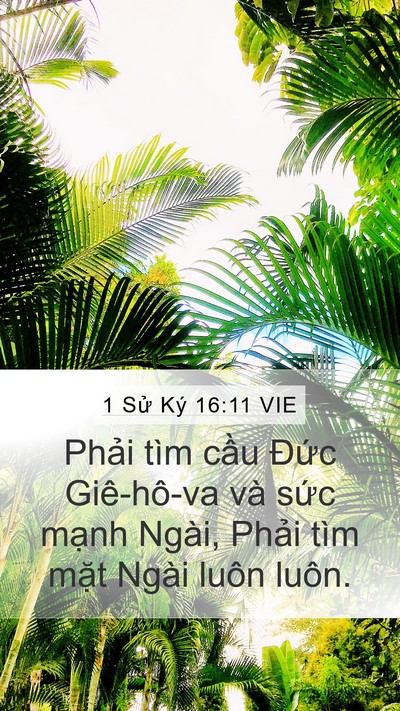 1 Sử Ký 16:11 VIE Bible Verse Image