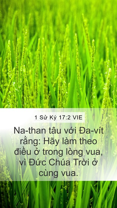 1 Sử Ký 17:2 VIE Mobile Phone Wallpaper - Na-than tâu với Đa-vít rằng: Hãy làm - Mobile Bible Verse Wallpaper