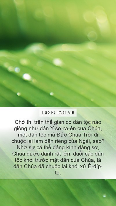 1 Sử Ký 17:21 VIE Bible Verse Image