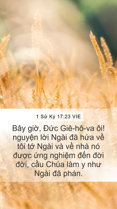 1 Sử Ký 17:23 VIE Bible Verse Image