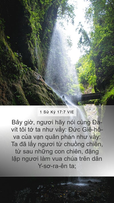1 Sử Ký 17:7 VIE Bible Verse Image