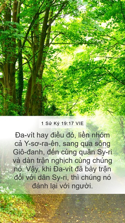 1 Sử Ký 19:17 VIE Mobile Phone Wallpaper - Đa-vít hay điều đó, liền nhóm cả - Mobile Bible Verse Wallpaper