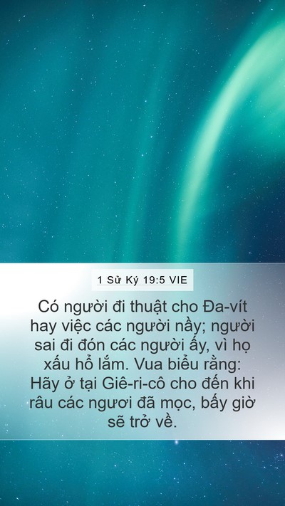 1 Sử Ký 19:5 VIE Bible Verse Image