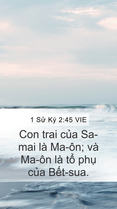 1 Sử Ký 2:45 VIE Bible Verse Image