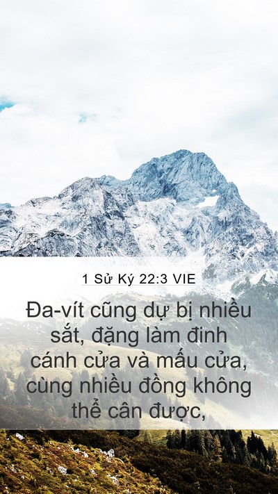 1 Sử Ký 22:3 VIE Bible Verse Image