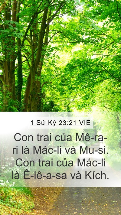 1 Sử Ký 23:21 VIE Bible Verse Image