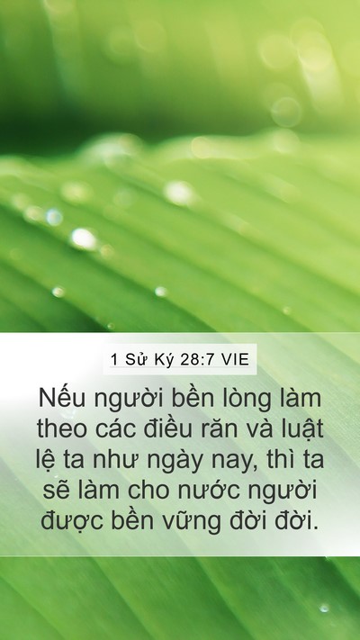 1 Sử Ký 28:7 VIE Bible Verse Image