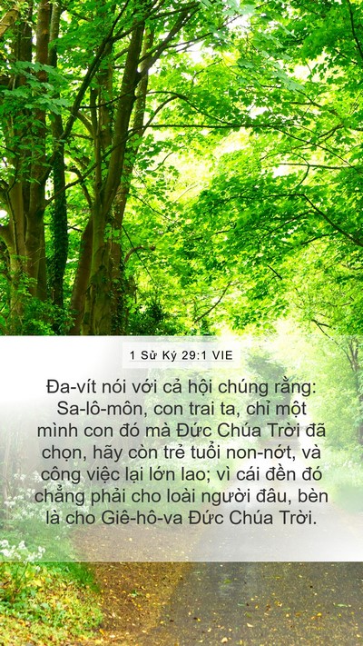 1 Sử Ký 29:1 VIE Bible Verse Image