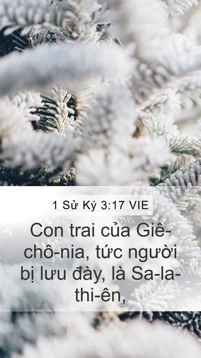 1 Sử Ký 3:17 VIE Bible Verse Image
