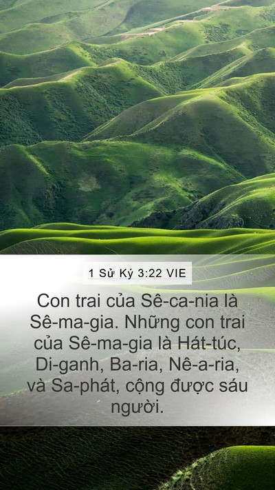 1 Sử Ký 3:22 VIE Bible Verse Image