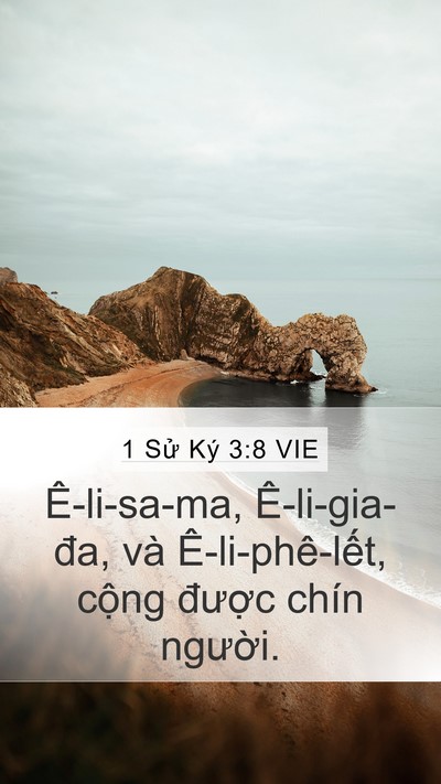 1 Sử Ký 3:8 VIE Bible Verse Image