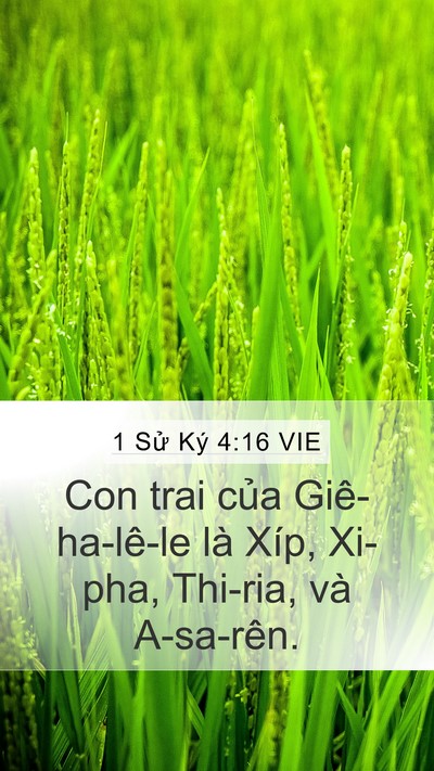 1 Sử Ký 4:16 VIE Mobile Phone Wallpaper - Con trai của Giê-ha-lê-le là Xíp, Xi-pha, - Mobile Bible Verse Wallpaper
