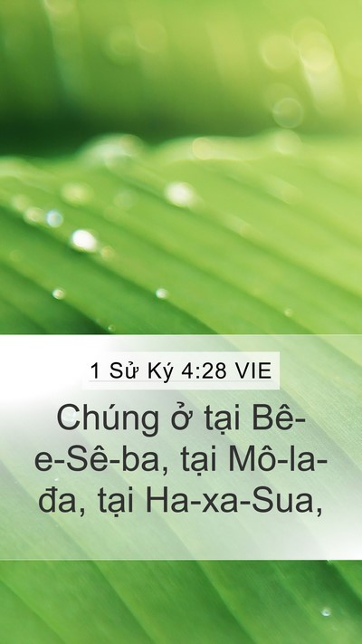 1 Sử Ký 4:28 VIE Bible Verse Image