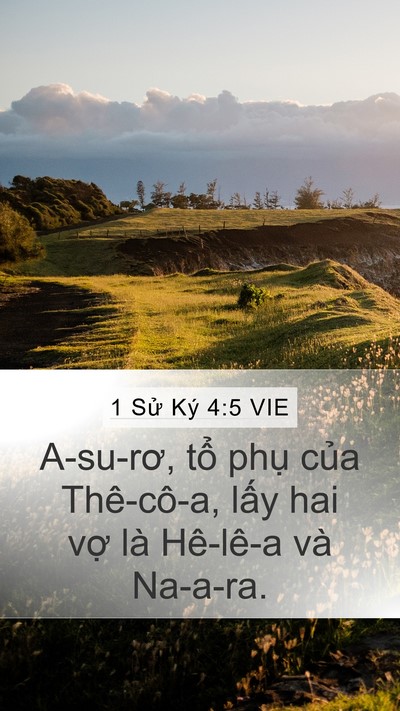 1 Sử Ký 4:5 VIE Mobile Phone Wallpaper - A-su-rơ, tổ phụ của Thê-cô-a, lấy hai - Mobile Bible Verse Wallpaper