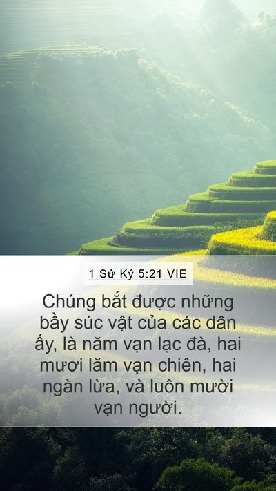 1 Sử Ký 5:21 VIE Bible Verse Image