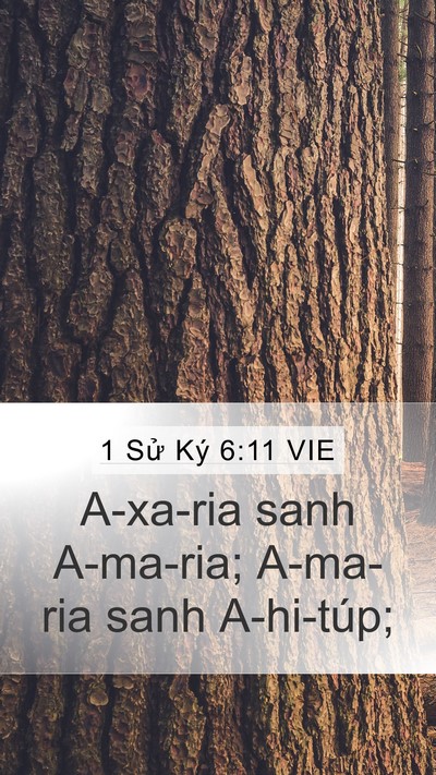 1 Sử Ký 6:11 VIE Mobile Phone Wallpaper - A-xa-ria sanh A-ma-ria; A-ma-ria sanh - Mobile Bible Verse Wallpaper