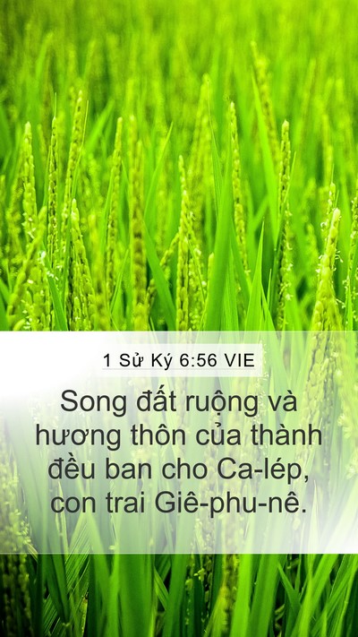 1 Sử Ký 6:56 VIE Mobile Phone Wallpaper - Song đất ruộng và hương thôn của - Mobile Bible Verse Wallpaper