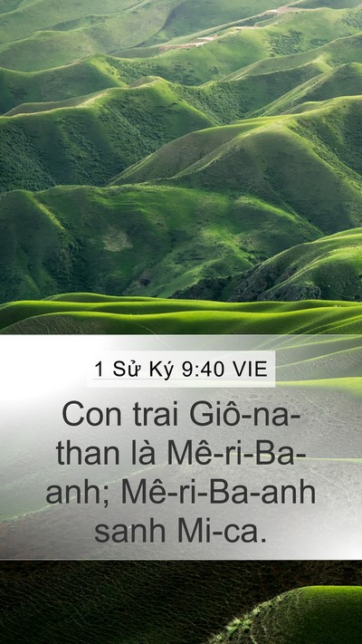 1 Sử Ký 9:40 VIE Bible Verse Image