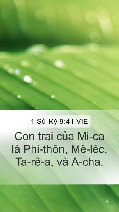 1 Sử Ký 9:41 VIE Bible Verse Image