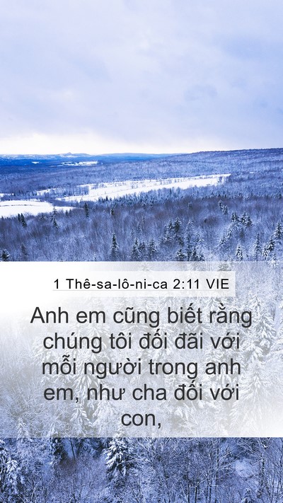1 Thê-sa-lô-ni-ca 2:11 VIE Bible Verse Image