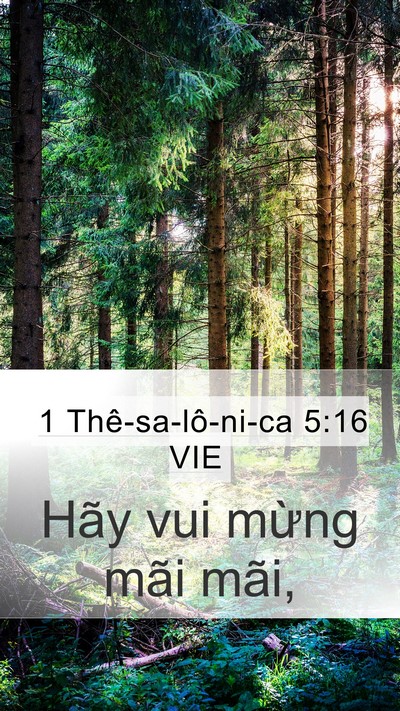 1 Thê-sa-lô-ni-ca 5:16 VIE Bible Verse Image