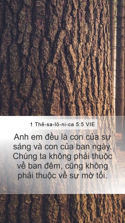 1 Thê-sa-lô-ni-ca 5:5 VIE Bible Verse Image