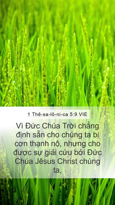 1 Thê-sa-lô-ni-ca 5:9 VIE Bible Verse Image