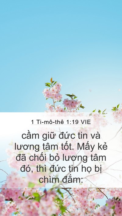 1 Ti-mô-thê 1:19 VIE Bible Verse Image