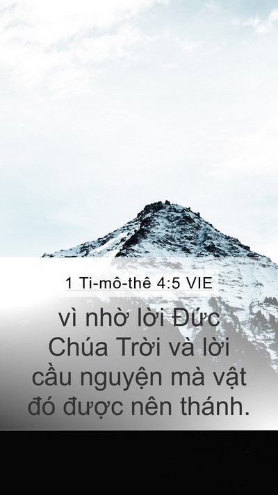 1 Ti-mô-thê 4:5 VIE Mobile Phone Wallpaper - vì nhờ lời Đức Chúa Trời và lời - Mobile Bible Verse Wallpaper