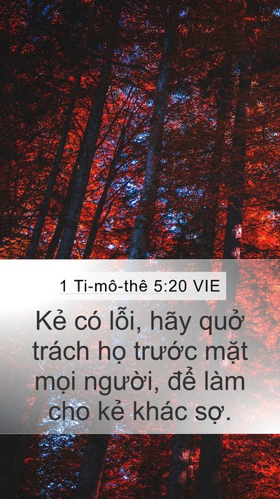 1 Ti-mô-thê 5:20 VIE Bible Verse Image