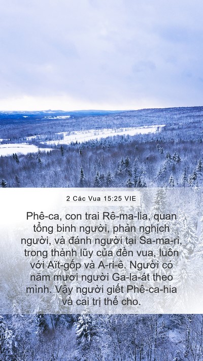 2 Các Vua 15:25 VIE Bible Verse Image