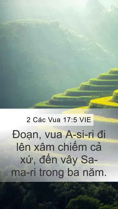 2 Các Vua 17:5 VIE Bible Verse Image