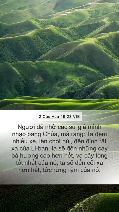 2 Các Vua 19:23 VIE Bible Verse Image