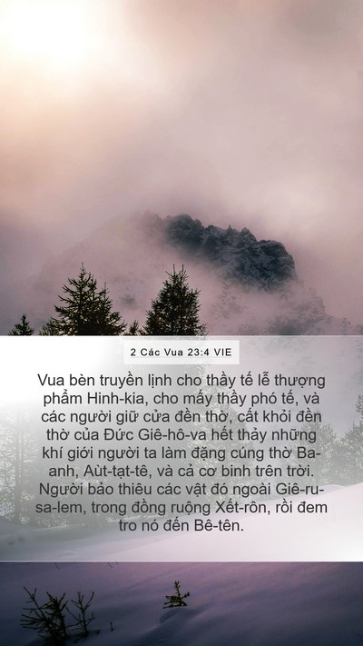 2 Các Vua 23:4 VIE Bible Verse Image
