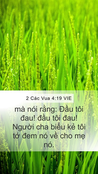 2 Các Vua 4:19 VIE Mobile Phone Wallpaper - mà nói rằng: Đầu tôi đau! đầu tôi - Mobile Bible Verse Wallpaper