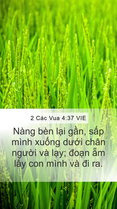 2 Các Vua 4:37 VIE Bible Verse Image