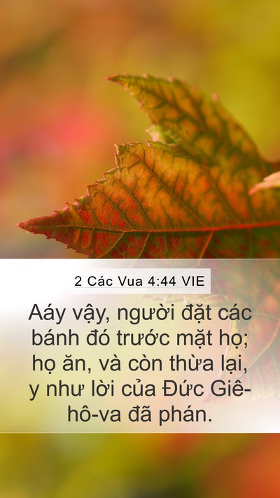 2 Các Vua 4:44 VIE Mobile Phone Wallpaper - Aáy vậy, người đặt các bánh đó - Mobile Bible Verse Wallpaper
