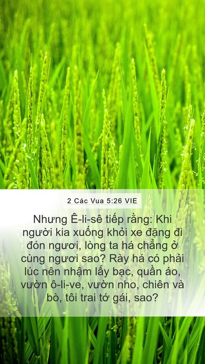 2 Các Vua 5:26 VIE Bible Verse Image