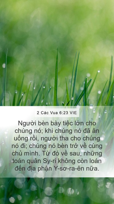 2 Các Vua 6:23 VIE Bible Verse Image